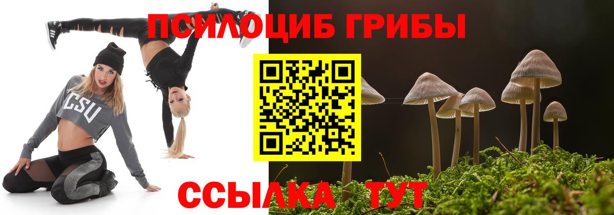 наркошоп  Вход с VPN  Долгопрудный  Псилоцибиновые грибы мицелий  Галлюциногенные грибы ЛСД 