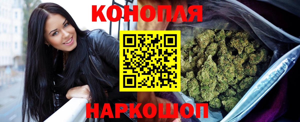 Конопля план Долгопрудный